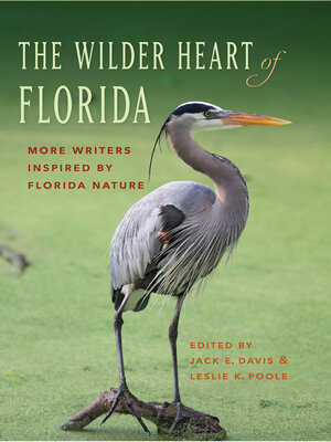 cover image of The Wilder Heart of Florida